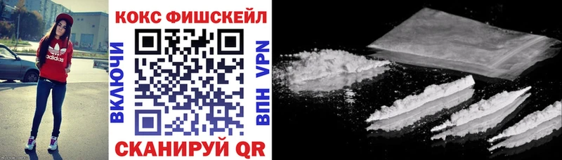 Купить закладки  Закаменск  КОКАИН FishScale 