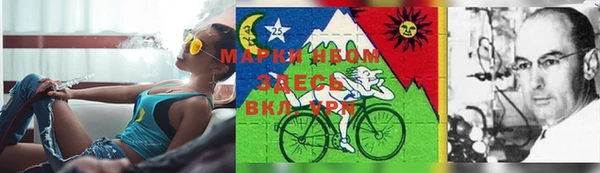 MDMA Premium VHQ Карталы
