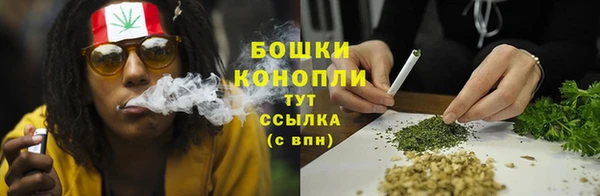 стаф Карпинск