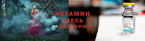 стаф Карпинск
