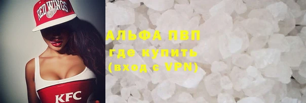 стаф Карпинск