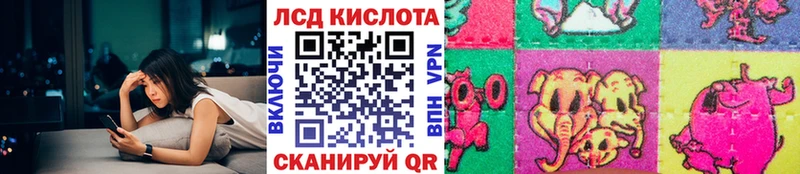 Купить закладки  Закаменск  Марки N-bome 1500мкг 