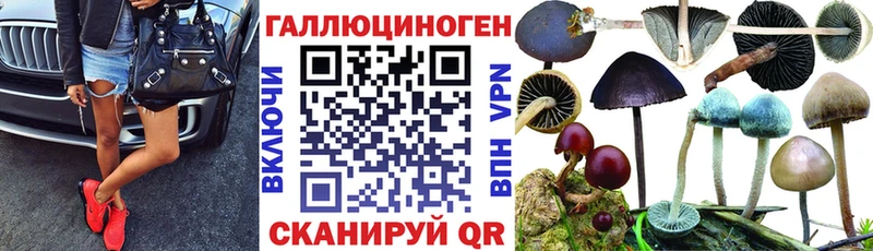 Псилоцибиновые грибы Magic Shrooms  Купить где  Закаменск 